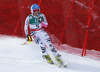 Veronique Hronek of Germany skiing down the course after crashing in safety nets in women downhill race of FIS Alpine skiing World Championships in Schladming, Austria. Women downhill race of FIS Alpine skiing World championships Schladming 2013, was held in Schladming, Austria, on Sunday, 10th of February 2013.
