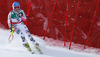 Veronique Hronek of Germany skiing down the course after crashing in safety nets in women downhill race of FIS Alpine skiing World Championships in Schladming, Austria. Women downhill race of FIS Alpine skiing World championships Schladming 2013, was held in Schladming, Austria, on Sunday, 10th of February 2013.
