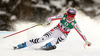 Third placed Maria Hoefl-Riesch of Germany skiing in women downhill race of FIS Alpine skiing World Championships in Schladming, Austria. Women downhill race of FIS Alpine skiing World championships Schladming 2013, was held in Schladming, Austria, on Sunday, 10th of February 2013.
