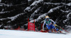 Sara Hector of Sweden skiing in women downhill race of FIS Alpine skiing World Championships in Schladming, Austria. Women downhill race of FIS Alpine skiing World championships Schladming 2013, was held in Schladming, Austria, on Sunday, 10th of February 2013.
