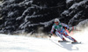 Winner and new women downhill World Champion Marion Rolland of France skiing in women downhill race of FIS Alpine skiing World Championships in Schladming, Austria. Women downhill race of FIS Alpine skiing World championships Schladming 2013, was held in Schladming, Austria, on Sunday, 10th of February 2013.
