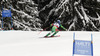 Andreas Romar of Finland skiing in downhill of men super combined race of FIS Alpine skiing World Championships in Schladming, Austria. Downhill of men super combined race of FIS Alpine skiing World championships Schladming 2013, was held in Schladming, Austria, on Monday, 11th of February 2013.
