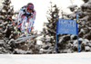 Adrien Theaux of France skiing in downhill of men super combined race of FIS Alpine skiing World Championships in Schladming, Austria. Downhill of men super combined race of FIS Alpine skiing World championships Schladming 2013, was held in Schladming, Austria, on Monday, 11th of February 2013.
