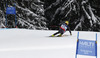 Ivica Kostelic of Croatia skiing in downhill of men super combined race of FIS Alpine skiing World Championships in Schladming, Austria. Downhill of men super combined race of FIS Alpine skiing World championships Schladming 2013, was held in Schladming, Austria, on Monday, 11th of February 2013.
