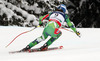Andreas Romar of Finland skiing in downhill of men super combined race of FIS Alpine skiing World Championships in Schladming, Austria. Downhill of men super combined race of FIS Alpine skiing World championships Schladming 2013, was held in Schladming, Austria, on Monday, 11th of February 2013.
