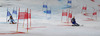 Mattias Hargin of Sweden (R) and Marcel Hirscher of Austria (L) skiing in Nations team event of FIS Alpine skiing World Championships in Schladming, Austria. Nations team event of FIS Alpine skiing World championships Schladming 2013, was held in Schladming, Austria, on Tuesday, 12th of February 2013.
