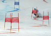 Felix Neureuther of Germany and Filip Zubcic of Croatia crashing in Nations team event of FIS Alpine skiing World Championships in Schladming, Austria. Nations team event of FIS Alpine skiing World championships Schladming 2013, was held in Schladming, Austria, on Tuesday, 12th of February 2013.
