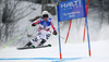 Viktoria Rebensburg of Germany skiing in first run of women giant slalom race of FIS Alpine skiing World Championships in Schladming, Austria. Women giant slalom race of FIS Alpine skiing World championships Schladming 2013, was held in Schladming, Austria, on Thursday, 14th of February 2013.
