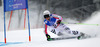 Viktoria Rebensburg of Germany skiing in first run of women giant slalom race of FIS Alpine skiing World Championships in Schladming, Austria. Women giant slalom race of FIS Alpine skiing World championships Schladming 2013, was held in Schladming, Austria, on Thursday, 14th of February 2013.
