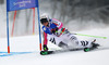 Viktoria Rebensburg of Germany skiing in first run of women giant slalom race of FIS Alpine skiing World Championships in Schladming, Austria. Women giant slalom race of FIS Alpine skiing World championships Schladming 2013, was held in Schladming, Austria, on Thursday, 14th of February 2013.
