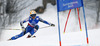 Frida Hansdotter of Sweden skiing in first run of women giant slalom race of FIS Alpine skiing World Championships in Schladming, Austria. Women giant slalom race of FIS Alpine skiing World championships Schladming 2013, was held in Schladming, Austria, on Thursday, 14th of February 2013.
