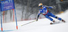 Frida Hansdotter of Sweden skiing in first run of women giant slalom race of FIS Alpine skiing World Championships in Schladming, Austria. Women giant slalom race of FIS Alpine skiing World championships Schladming 2013, was held in Schladming, Austria, on Thursday, 14th of February 2013.
