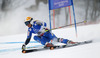 Frida Hansdotter of Sweden skiing in first run of women giant slalom race of FIS Alpine skiing World Championships in Schladming, Austria. Women giant slalom race of FIS Alpine skiing World championships Schladming 2013, was held in Schladming, Austria, on Thursday, 14th of February 2013.
