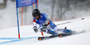 Lara Gut of Switzerland skiing in first run of women giant slalom race of FIS Alpine skiing World Championships in Schladming, Austria. Women giant slalom race of FIS Alpine skiing World championships Schladming 2013, was held in Schladming, Austria, on Thursday, 14th of February 2013.
