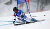 Lara Gut of Switzerland skiing in first run of women giant slalom race of FIS Alpine skiing World Championships in Schladming, Austria. Women giant slalom race of FIS Alpine skiing World championships Schladming 2013, was held in Schladming, Austria, on Thursday, 14th of February 2013.
