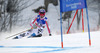 Maria Hoefl-Riesch of Germany skiing in first run of women giant slalom race of FIS Alpine skiing World Championships in Schladming, Austria. Women giant slalom race of FIS Alpine skiing World championships Schladming 2013, was held in Schladming, Austria, on Thursday, 14th of February 2013.

