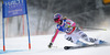 Maria Hoefl-Riesch of Germany skiing in first run of women giant slalom race of FIS Alpine skiing World Championships in Schladming, Austria. Women giant slalom race of FIS Alpine skiing World championships Schladming 2013, was held in Schladming, Austria, on Thursday, 14th of February 2013.
