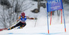 Marie-Michele Gagnon of Canada skiing in first run of women giant slalom race of FIS Alpine skiing World Championships in Schladming, Austria. Women giant slalom race of FIS Alpine skiing World championships Schladming 2013, was held in Schladming, Austria, on Thursday, 14th of February 2013.
