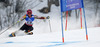 Marie-Michele Gagnon of Canada skiing in first run of women giant slalom race of FIS Alpine skiing World Championships in Schladming, Austria. Women giant slalom race of FIS Alpine skiing World championships Schladming 2013, was held in Schladming, Austria, on Thursday, 14th of February 2013.
