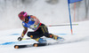 Marie-Michele Gagnon of Canada skiing in first run of women giant slalom race of FIS Alpine skiing World Championships in Schladming, Austria. Women giant slalom race of FIS Alpine skiing World championships Schladming 2013, was held in Schladming, Austria, on Thursday, 14th of February 2013.
