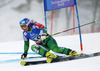 Tanja Poutiainen of Finland skiing in first run of women giant slalom race of FIS Alpine skiing World Championships in Schladming, Austria. Women giant slalom race of FIS Alpine skiing World championships Schladming 2013, was held in Schladming, Austria, on Thursday, 14th of February 2013.
