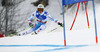 Anna Fenninger of Austria skiing in first run of women giant slalom race of FIS Alpine skiing World Championships in Schladming, Austria. Women giant slalom race of FIS Alpine skiing World championships Schladming 2013, was held in Schladming, Austria, on Thursday, 14th of February 2013.
