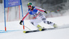 Lena Duerr of Germany skiing in first run of women giant slalom race of FIS Alpine skiing World Championships in Schladming, Austria. Women giant slalom race of FIS Alpine skiing World championships Schladming 2013, was held in Schladming, Austria, on Thursday, 14th of February 2013.
