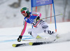 Lena Duerr of Germany skiing in first run of women giant slalom race of FIS Alpine skiing World Championships in Schladming, Austria. Women giant slalom race of FIS Alpine skiing World championships Schladming 2013, was held in Schladming, Austria, on Thursday, 14th of February 2013.
