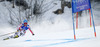 Veronique Hronek of Germany skiing in first run of women giant slalom race of FIS Alpine skiing World Championships in Schladming, Austria. Women giant slalom race of FIS Alpine skiing World championships Schladming 2013, was held in Schladming, Austria, on Thursday, 14th of February 2013.
