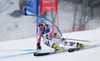 Veronique Hronek of Germany skiing in first run of women giant slalom race of FIS Alpine skiing World Championships in Schladming, Austria. Women giant slalom race of FIS Alpine skiing World championships Schladming 2013, was held in Schladming, Austria, on Thursday, 14th of February 2013.
