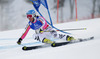 Veronique Hronek of Germany skiing in first run of women giant slalom race of FIS Alpine skiing World Championships in Schladming, Austria. Women giant slalom race of FIS Alpine skiing World championships Schladming 2013, was held in Schladming, Austria, on Thursday, 14th of February 2013.
