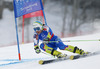 Tina Robnik of Slovenia skiing in first run of women giant slalom race of FIS Alpine skiing World Championships in Schladming, Austria. Women giant slalom race of FIS Alpine skiing World championships Schladming 2013, was held in Schladming, Austria, on Thursday, 14th of February 2013.
