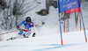 Wendy Holdener of Switzerland skiing in first run of women giant slalom race of FIS Alpine skiing World Championships in Schladming, Austria. Women giant slalom race of FIS Alpine skiing World championships Schladming 2013, was held in Schladming, Austria, on Thursday, 14th of February 2013.
