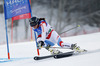 Wendy Holdener of Switzerland skiing in first run of women giant slalom race of FIS Alpine skiing World Championships in Schladming, Austria. Women giant slalom race of FIS Alpine skiing World championships Schladming 2013, was held in Schladming, Austria, on Thursday, 14th of February 2013.
