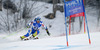 Ilka Stuhec of Slovenia skiing in first run of women giant slalom race of FIS Alpine skiing World Championships in Schladming, Austria. Women giant slalom race of FIS Alpine skiing World championships Schladming 2013, was held in Schladming, Austria, on Thursday, 14th of February 2013.

