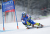 Ilka Stuhec of Slovenia skiing in first run of women giant slalom race of FIS Alpine skiing World Championships in Schladming, Austria. Women giant slalom race of FIS Alpine skiing World championships Schladming 2013, was held in Schladming, Austria, on Thursday, 14th of February 2013.
