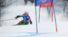 Nina Halme of Finland skiing in first run of women giant slalom race of FIS Alpine skiing World Championships in Schladming, Austria. Women giant slalom race of FIS Alpine skiing World championships Schladming 2013, was held in Schladming, Austria, on Thursday, 14th of February 2013.
