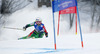 Nina Halme of Finland skiing in first run of women giant slalom race of FIS Alpine skiing World Championships in Schladming, Austria. Women giant slalom race of FIS Alpine skiing World championships Schladming 2013, was held in Schladming, Austria, on Thursday, 14th of February 2013.
