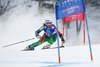 Nina Halme of Finland skiing in first run of women giant slalom race of FIS Alpine skiing World Championships in Schladming, Austria. Women giant slalom race of FIS Alpine skiing World championships Schladming 2013, was held in Schladming, Austria, on Thursday, 14th of February 2013.
