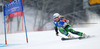 Nina Halme of Finland skiing in first run of women giant slalom race of FIS Alpine skiing World Championships in Schladming, Austria. Women giant slalom race of FIS Alpine skiing World championships Schladming 2013, was held in Schladming, Austria, on Thursday, 14th of February 2013.
