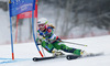 Nina Halme of Finland skiing in first run of women giant slalom race of FIS Alpine skiing World Championships in Schladming, Austria. Women giant slalom race of FIS Alpine skiing World championships Schladming 2013, was held in Schladming, Austria, on Thursday, 14th of February 2013.
