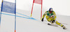 Aksel Lund Svindal of Norway skiing in first run of men giant slalom race of FIS Alpine skiing World Championships in Schladming, Austria. Men giant slalom race of FIS Alpine skiing World championships Schladming 2013, was held in Schladming, Austria, on Friday, 15th of February 2013.
