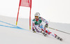 Alexis Pinturault of France skiing in first run of men giant slalom race of FIS Alpine skiing World Championships in Schladming, Austria. Men giant slalom race of FIS Alpine skiing World championships Schladming 2013, was held in Schladming, Austria, on Friday, 15th of February 2013.
