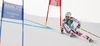 Alexis Pinturault of France skiing in first run of men giant slalom race of FIS Alpine skiing World Championships in Schladming, Austria. Men giant slalom race of FIS Alpine skiing World championships Schladming 2013, was held in Schladming, Austria, on Friday, 15th of February 2013.
