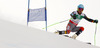 Ted Ligety of USA skiing in first run of men giant slalom race of FIS Alpine skiing World Championships in Schladming, Austria. Men giant slalom race of FIS Alpine skiing World championships Schladming 2013, was held in Schladming, Austria, on Friday, 15th of February 2013.
