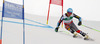 Ted Ligety of USA skiing in first run of men giant slalom race of FIS Alpine skiing World Championships in Schladming, Austria. Men giant slalom race of FIS Alpine skiing World championships Schladming 2013, was held in Schladming, Austria, on Friday, 15th of February 2013.
