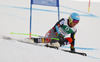 Ted Ligety of USA skiing in first run of men giant slalom race of FIS Alpine skiing World Championships in Schladming, Austria. Men giant slalom race of FIS Alpine skiing World championships Schladming 2013, was held in Schladming, Austria, on Friday, 15th of February 2013.
