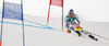 Fritz Dopfer of Germany skiing in first run of men giant slalom race of FIS Alpine skiing World Championships in Schladming, Austria. Men giant slalom race of FIS Alpine skiing World championships Schladming 2013, was held in Schladming, Austria, on Friday, 15th of February 2013.
