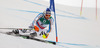 Fritz Dopfer of Germany skiing in first run of men giant slalom race of FIS Alpine skiing World Championships in Schladming, Austria. Men giant slalom race of FIS Alpine skiing World championships Schladming 2013, was held in Schladming, Austria, on Friday, 15th of February 2013.

