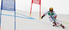 Marcel Hirscher of Austria skiing in first run of men giant slalom race of FIS Alpine skiing World Championships in Schladming, Austria. Men giant slalom race of FIS Alpine skiing World championships Schladming 2013, was held in Schladming, Austria, on Friday, 15th of February 2013.
